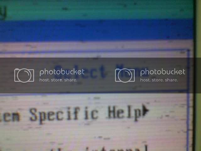 LCD monitor distorted image help